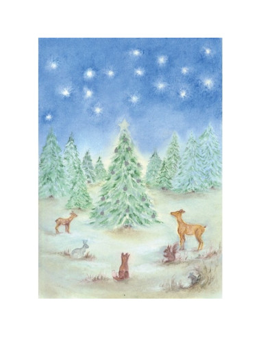 Ansichtkaart winterbos Baukje Exler